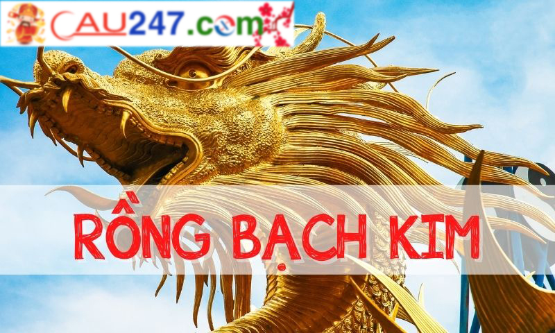 sanh rong bach kim