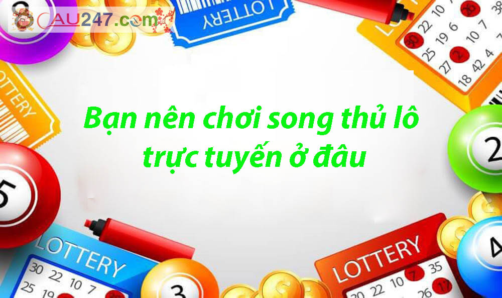 song thu lo 247