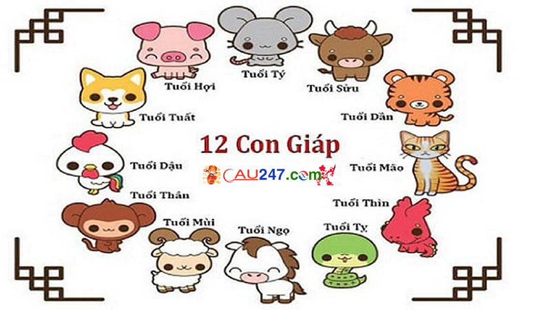 soi cau 12 con giap