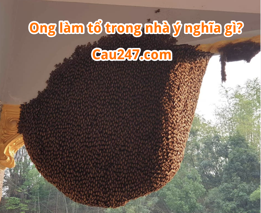 ong lam to trong nha y nghĩa gi