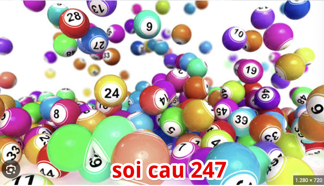 soi cau 247