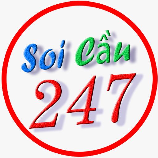 soi cau 247