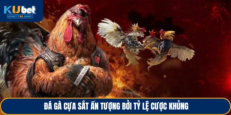 da-ga-cua-sat-an-tuong-boi-ty-le-cuoc