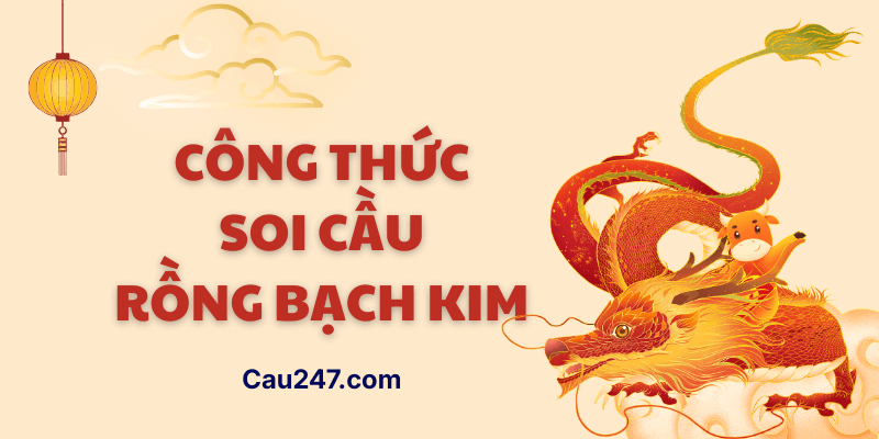 Công thức soi cầu rồng bạch kim