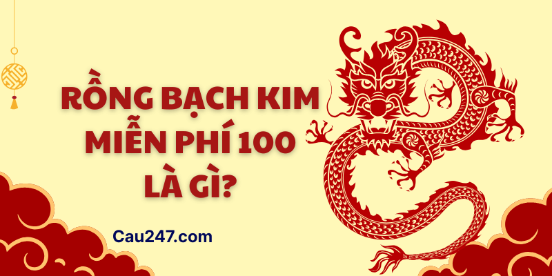 Rồng bạch kim chính xác 100 là gì