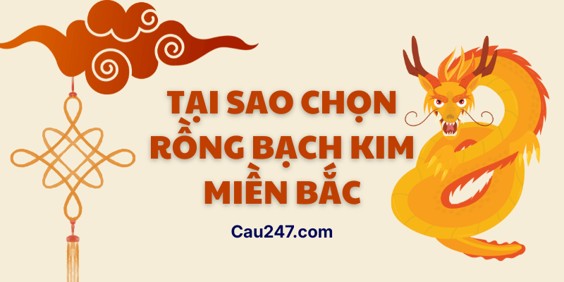 rồng bạch kim chính xác