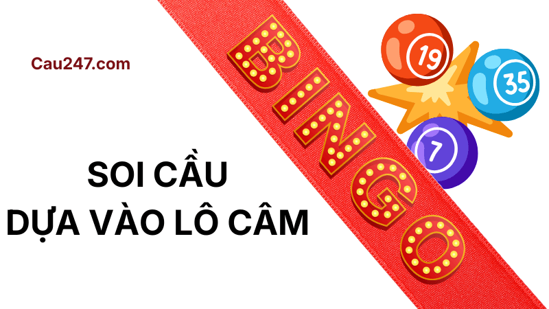 soi cầu dựa vào lô câm
