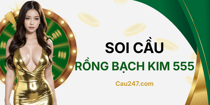 soi cầu rồng bạch kim 555