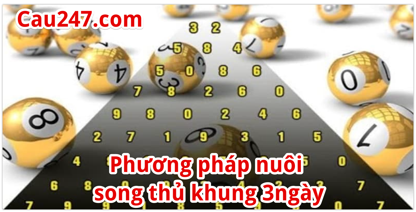 song thu lo khung 3 ngay