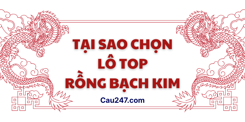 Tại sao chọn lo top rồng bạch kim
