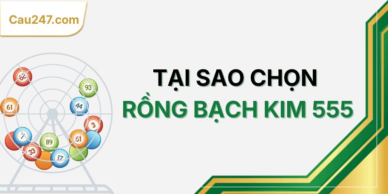 tại sao chọn rồng bạch kim 555