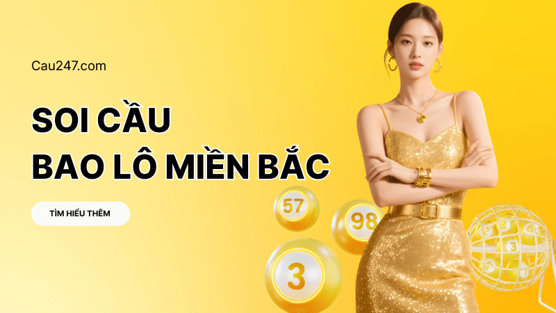 bao l&ocirc; miền Bắc