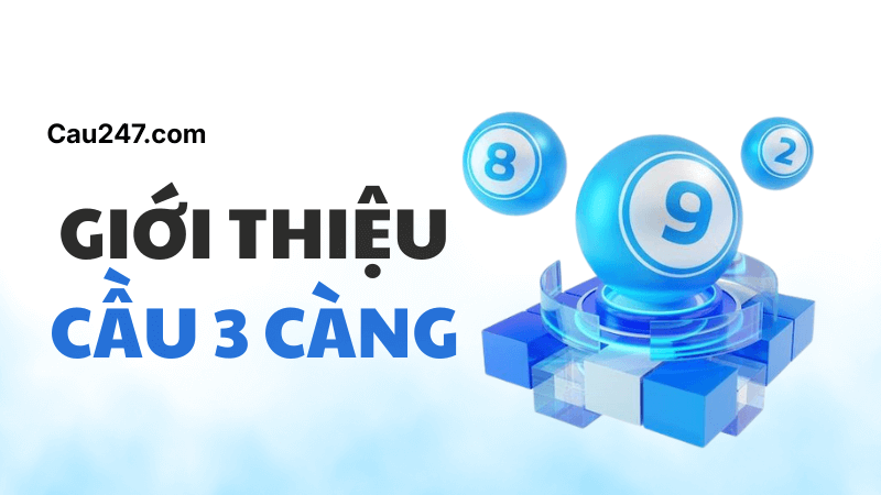 giới thiệu soi cầu 3 càng