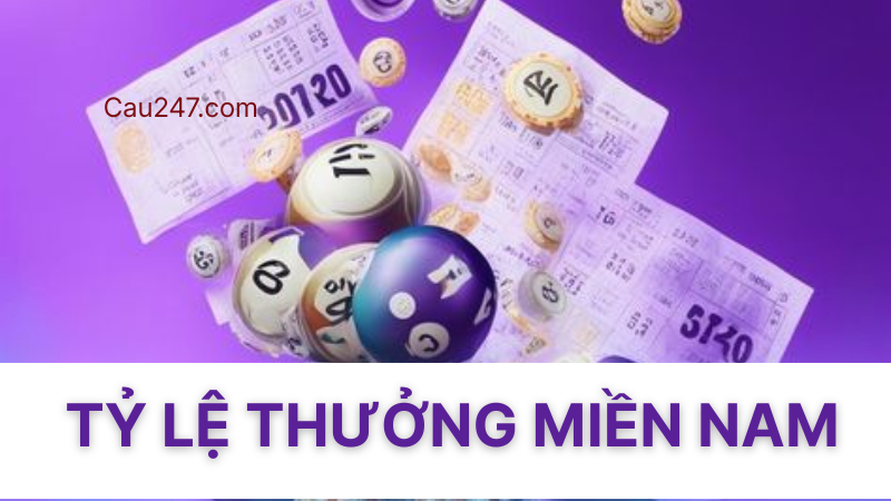 soi cầu l&ocirc; xi&ecirc;n vip