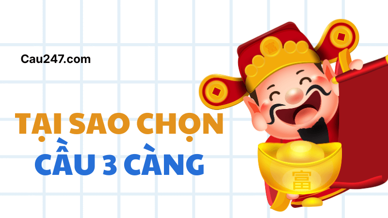 tại sao chọn soi cầu 3 càng