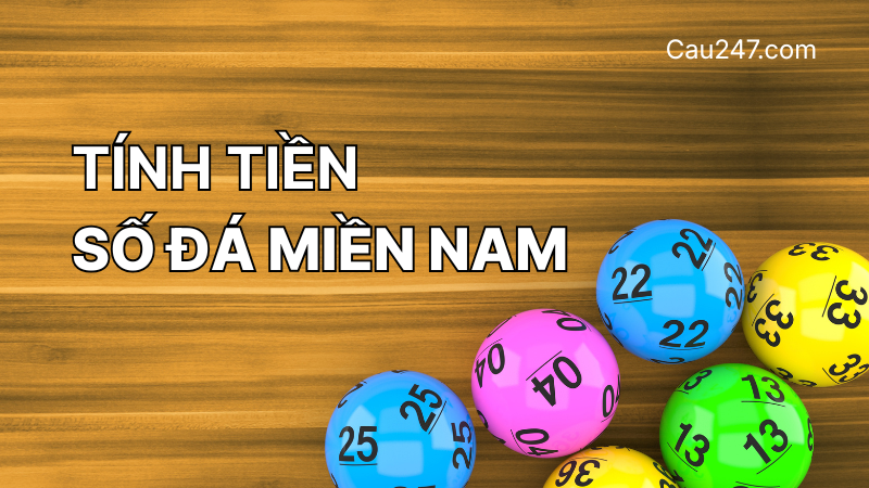 t&iacute;nh tiền số đ&aacute; miền Nam