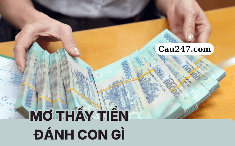 mơ thấy tiền đ&aacute;nh con g&igrave;