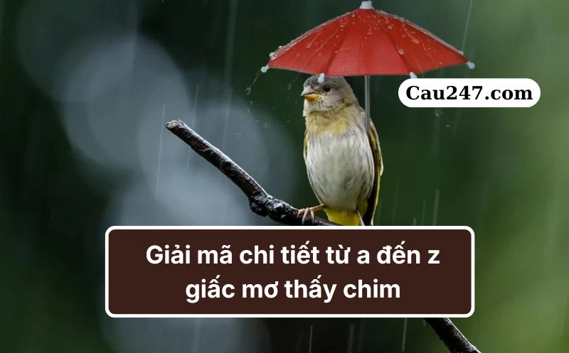 mơ thấy chim đ&aacute;nh con g&igrave; giải m&atilde;