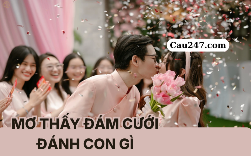 mơ thấy đ&aacute;m cưới đ&aacute;nh con g&igrave;