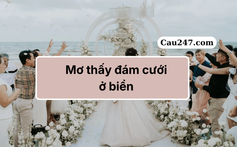 mơ thấy đ&aacute;m cưới