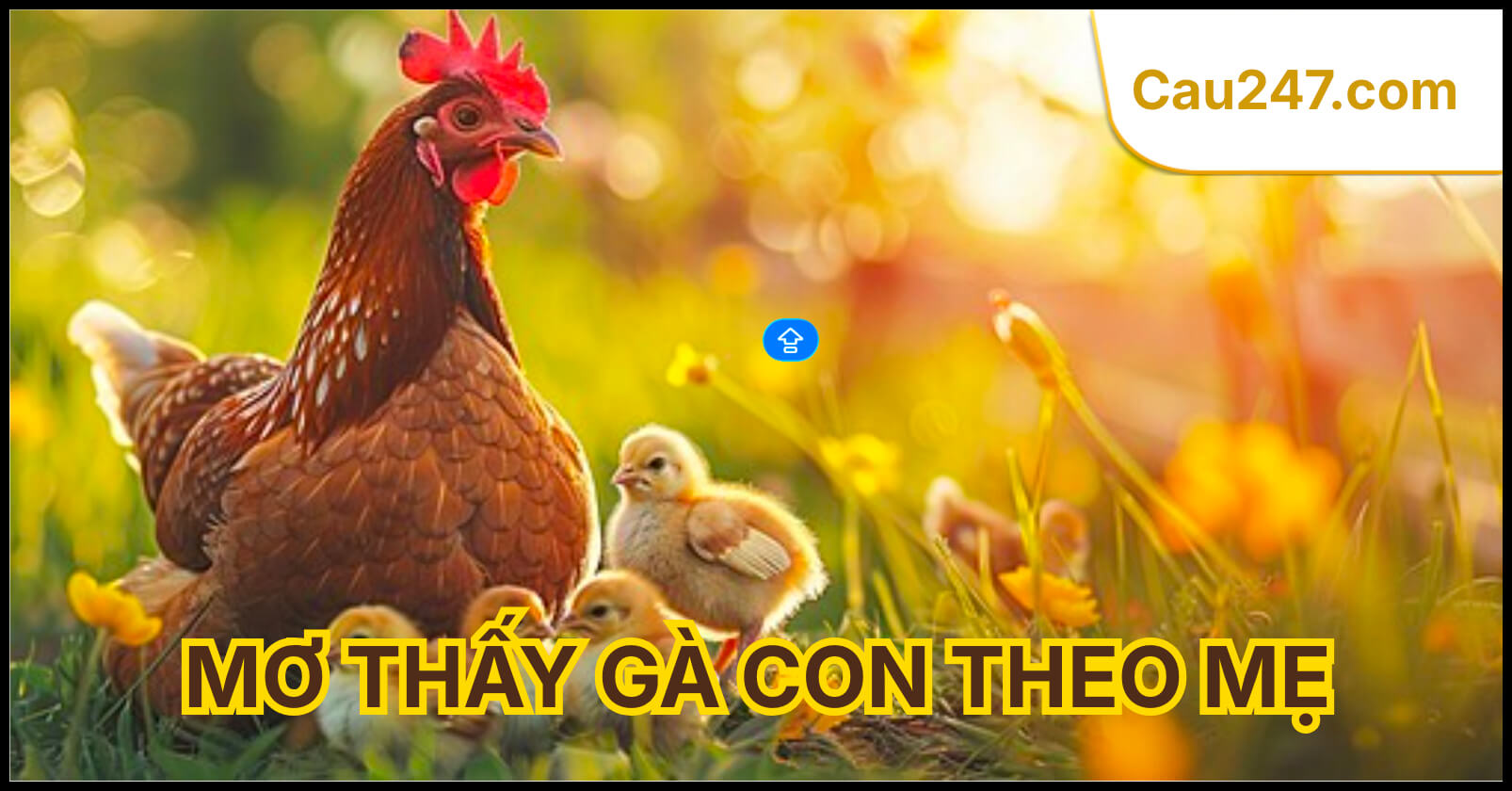 mơ thấy g&agrave; con theo mẹ
