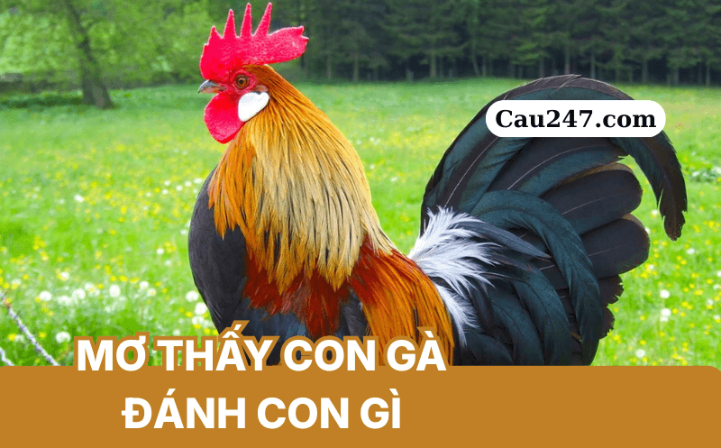 mơ thấy g&agrave; đ&aacute;nh con g&igrave;