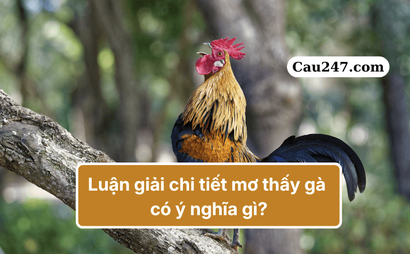 mơ thấy g&agrave; đ&aacute;nh con g&igrave; luận giải