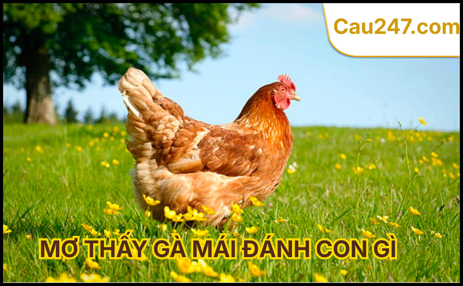 Mơ thấy g&agrave; m&aacute;i đ&aacute;nh con g&igrave;