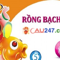 Soi cầu rồng bạch kim 888 và những điều cần biết