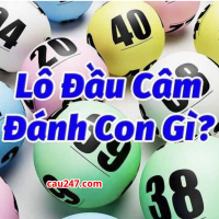 Kinh nghiệm đánh lô theo đầu đuôi lô câm hàng ngày.