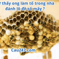 Ong làm tổ trong nhà điềm báo gì? Mơ thấy ong đánh lô đề số mấy?
