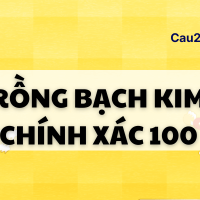 Rồng Bạch Kim chính xác 100 miễn phí