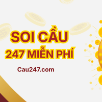 Soi cầu 247 rồng bạch kim dự đoán xổ số chính xác 100