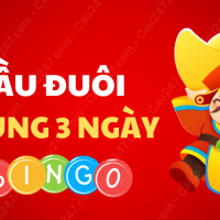 Nuôi đầu đuôi khung 3 ngày rồng bạch kim VIP