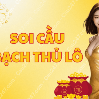 Soi cầu bạch thủ lô miền Bắc bất bại