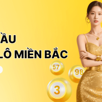 Bao lô miền bắc là gì và tỷ lệ trúng bao nhiêu?