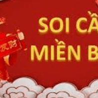 Dự đoán 247 kết quả xổ số 3 miền ngày 29/01/2026