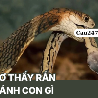 Mơ thấy rắn đánh con gì dễ trúng, ý nghĩa giấc mơ 