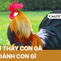 Mơ thấy gà đánh con gì hay trúng, giải mã giấc mơ