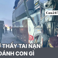 Mơ thấy tai nạn đánh con gì? giải nghĩa giấc mơ
